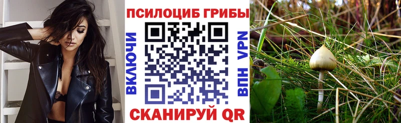 Галлюциногенные грибы прущие грибы  Купить где  Чегем 