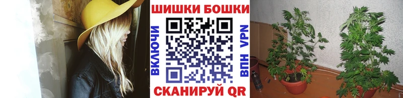 Шишки марихуана Amnesia  Купить где  Чегем 